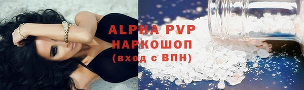 молекула духа Туринск