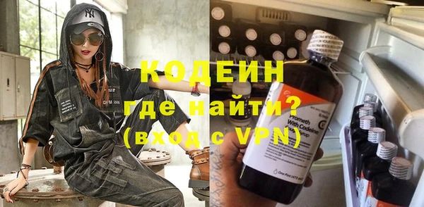 молекула духа Туринск