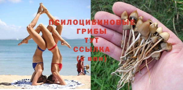 молекула духа Туринск