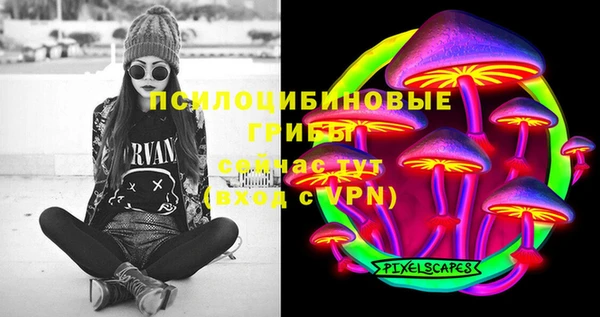 трава Сковородино