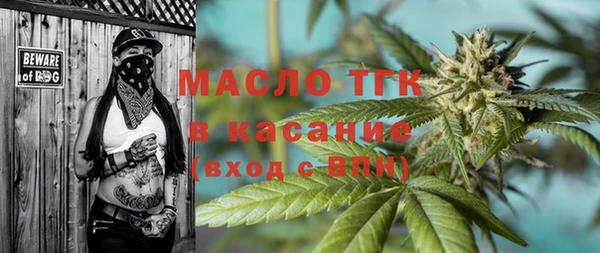 молекула духа Туринск