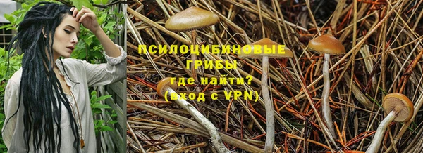 гашиш Тутаев