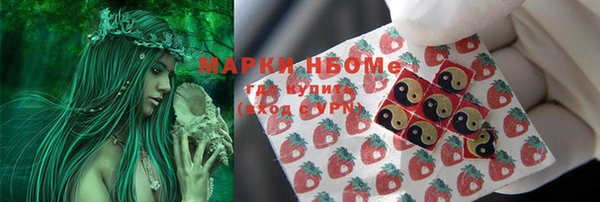 молекула духа Туринск